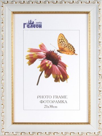 656309 (в уп.10шт.) - Фоторамка 21x30см. / 10036-8 [01104047] 656309 (в уп.10шт.) - Фоторамка 21x30см. / 10036-8 /, материал: пластик, стекло,  двп.