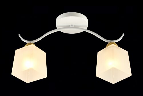 МС-XA1448B/2 WH+WD (10) светильник потолочный [01102756] МС-XA1448B/2 WH+WD (10) светильник потолочный