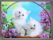 30х40 12 - Картина 5D [01109910]