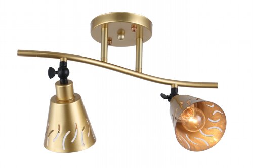 ФП-GH50112/2 FGD+BK (1) светильник потолочный [01096371] ФП-GH50112/2 FGD+BK (1) светильник потолочный