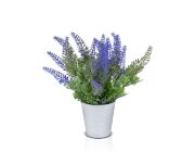 Цветочная композиция Лаванда мал., размеры: высота [01090209]