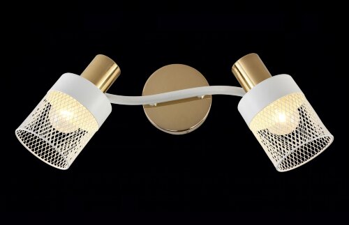 МС-DA5995/2 WH+FGD (10) светильник потолочный [01101382] МС-DA5995/2 WH+FGD (10) светильник потолочный