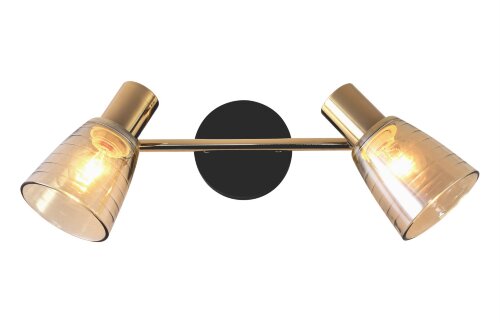 МС-DA5985/2 BK+FGD (10) светильник потолочный [01101363] МС-DA5985/2 BK+FGD (10) светильник потолочный