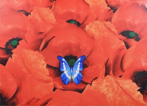 50*70 9 канвас [01098347] 50*70 9 канвас