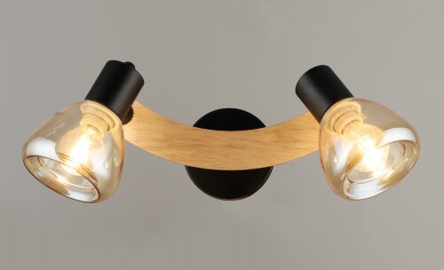 ВР-N4766/2 BK+WD (10) светильник потолочный [01100536] ВР-N4766/2 BK+WD (10) светильник потолочный