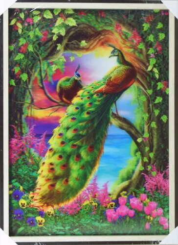 50х70 28 - Картина 5D [01101991] 50х70 28 - Картина 5D