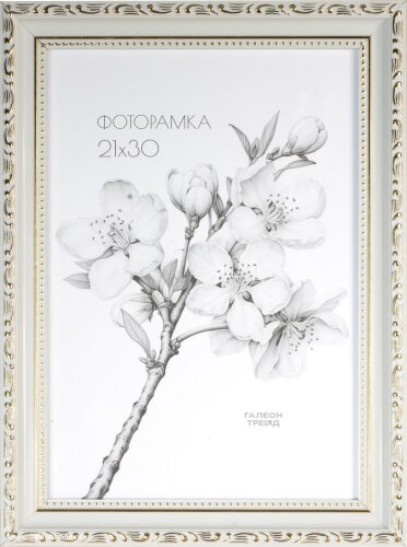 674929 (в уп.10шт.) - Фоторамка 21x30см. /3011C-01 [01110005] 674929 (в уп.10шт.) - Фоторамка 21x30см. /3011C-012AL1 №39/, материал: пластик, стекло, двп.