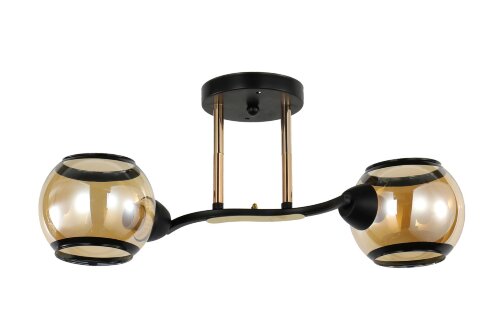 Д9077/2 BK+FG (10) светильник потолочный [01103334] Д9077/2 BK+FG (10) светильник потолочный