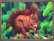 30х40 29 - Картина 5D [01110513]