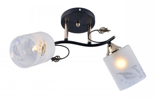 МС-DA5147B/2 BK+FGD (10) АКЦИЯ светильник потолочн [01097157] МС-DA5147B/2 BK+FGD (10) АКЦИЯ светильник потолочный