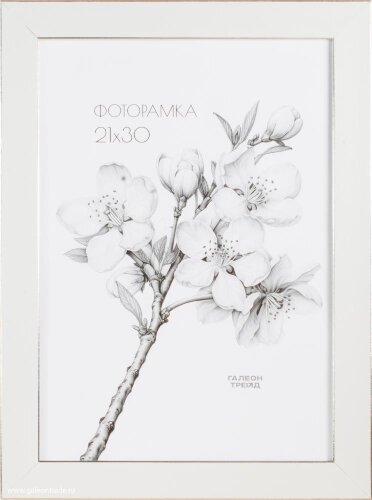 745913 (в уп.10шт.) - Фоторамка 21x30см. /B2703C1- [01110007] 745913 (в уп.10шт.) - Фоторамка 21x30см. /B2703C1-012A2/, материал: пластик, стекло, двп.