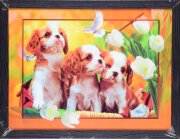 30х40 44 - Картина 5D [01111203]