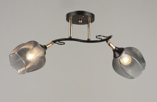 ВР-N4726/2 BK+GD (10) светильник потолочный [01100531] ВР-N4726/2 BK+GD (10) светильник потолочный