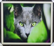 60*50 40 - Репродукция картины [01098775]