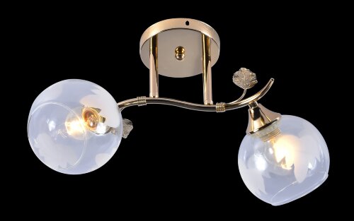 МС-DA5146A/2 FGD (10) АКЦИЯ светильник потолочный [01097151] МС-DA5146A/2 FGD (10) АКЦИЯ светильник потолочный