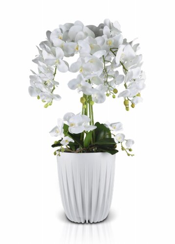 Орхидея напольная, размер: высота 80 см, ширина 50 [01093438] Орхидея напольная, размер: высота 80 см, ширина 50 см, материал: пластик РУЧНАЯ РАБОТА