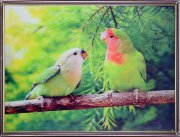 30х40 46 - Картина 5D [01111789]