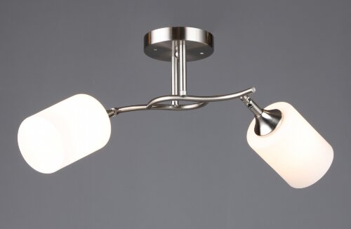 ВР-N6410/2 SL L530*W190*H240 мм (10) светильник по [01109619] ВР-N6410/2 SL L530*W190*H240 мм (10) светильник потолочный