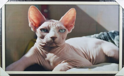 100*60 1033 - Репродукция картины [01098836] 100*60 1033 - Репродукция картины