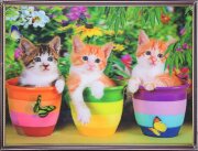 30х40 41 - Картина 5D [01110550]