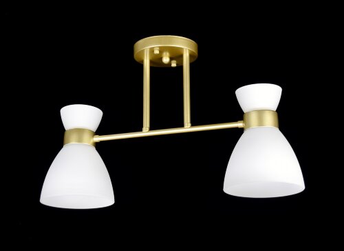 ВР-N5689/2 GD (10) светильник потолочный [01107910] ВР-N5689/2 GD (10) светильник потолочный