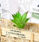 682799 (в уп.100шт.) - Суккулент искусственный / G [01102584]