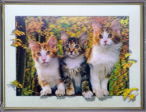 30х40 10 - Картина 5D [01109908] 30х40 10 - Картина 5D