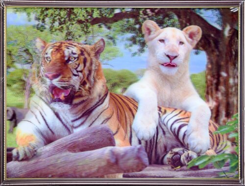 30х40 49 - Картина 5D [01111792] 30х40 49 - Картина 5D