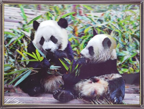 30х40 34 - Картина 5D [01110518] 30х40 34 - Картина 5D