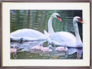 30х40 43 - Картина 5D [01111202]