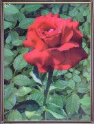 30х40 45 - Картина 5D [01111788]