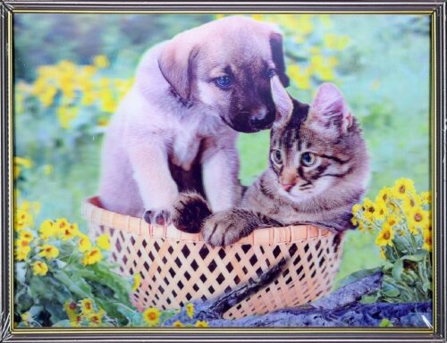 30х40 13 - Картина 5D [01109911] 30х40 13 - Картина 5D