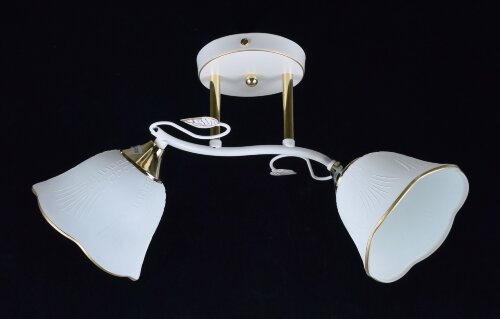 МС-XA1079B/2 WH+FGD (10) АКЦИЯ светильник потолочн [01096950] МС-XA1079B/2 WH+FGD (10) АКЦИЯ светильник потолочный