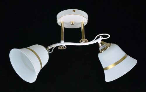 МС-XA1080B/2 WH+FGD (10) АКЦИЯ светильник потолочн [01096918] МС-XA1080B/2 WH+FGD (10) АКЦИЯ светильник потолочный