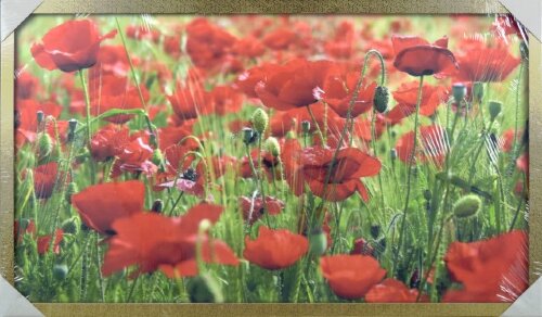 60*100 82 H - Репродукция картины [01107209] 60*100 82 H - Репродукция картины