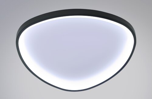 Ч-MK7039-52 BK+WH Led 57W 3000-7000K диммер, разме [01110727] Ч-MK7039-52 BK+WH Led 57W 3000-7000K диммер, размер: D520*H65мм (1) светильник потолочный