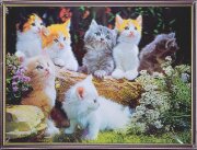 30х40 35 - Картина 5D [01110519]