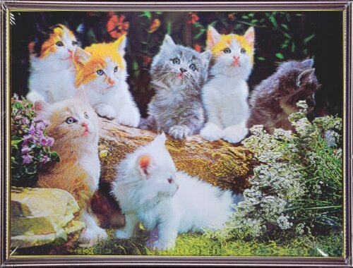 30х40 35 - Картина 5D [01110519] 30х40 35 - Картина 5D