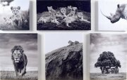 125*80/6 S-0740 - Модульная картина [01108364]