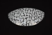 ГС300/2 Черепаха Половинка 20 [01078560]