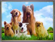 30х40 18 - Картина 5D [01109916]