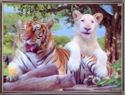 30х40 49 - Картина 5D [01111792]