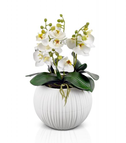 Орхидея в шаре, размер: высота 40 см, ширина 25 см [01109128] Орхидея в шаре, размер: высота 40 см, ширина 25 см, материал: пластик РУЧНАЯ РАБОТА