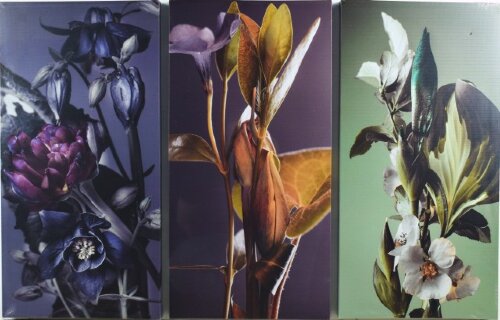 65*99/3 D-10097 - Модульная картина [01103251] 65*99/3 D-10097 - Модульная картина