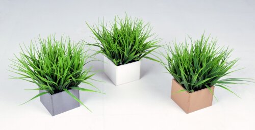 Осока в деревянном горшке,маленькая , размер: высо [01094044] Осока в деревянном горшке,маленькая , размер: высота 23 см, ширина 20 см., материал: дерево РУЧНАЯ РАБОТА