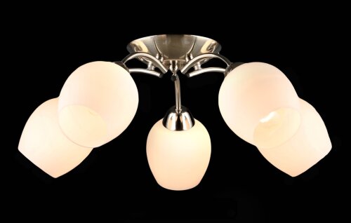 ВР-N6629/5 SN D555*H175мм (4) светильник потолочны [01109736] ВР-N6629/5 SN D555*H175мм (4) светильник потолочный