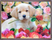 30х40 51 - Картина 5D [01111794]