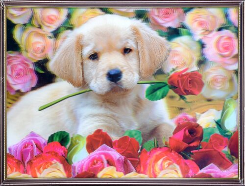 30х40 51 - Картина 5D [01111794] 30х40 51 - Картина 5D