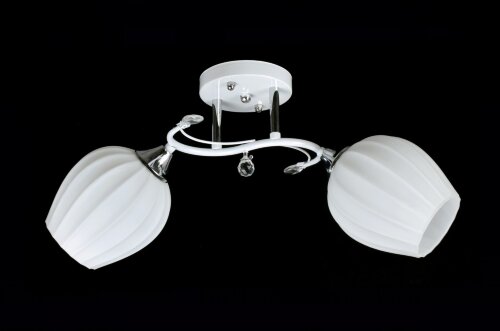 Д-W3032/2 WT+CR (10) светильник потолочный [01103086] Д-W3032/2 WT+CR (10) светильник потолочный