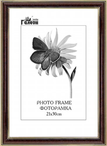 126459 (в кор.10шт.) - Фоторамка 21х30см. /2006B-9 [01063581] 126459 (в кор.10шт.) - Фоторамка 21х30см. /2006B-999A/